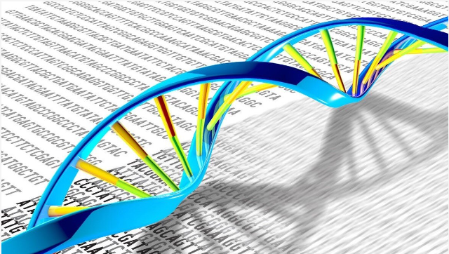 Genetics Testing Image